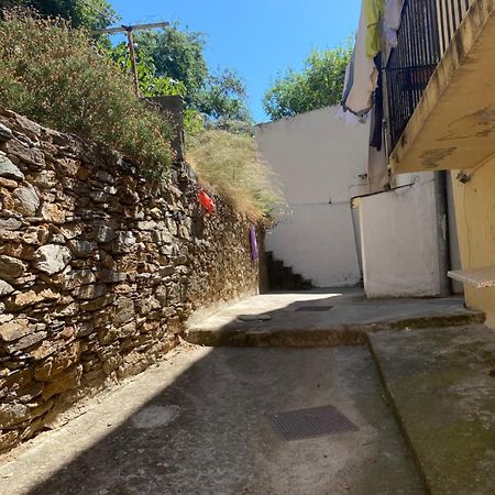 Bel Appartement A 3 Minutes De La Plage 巴斯蒂亚 外观 照片